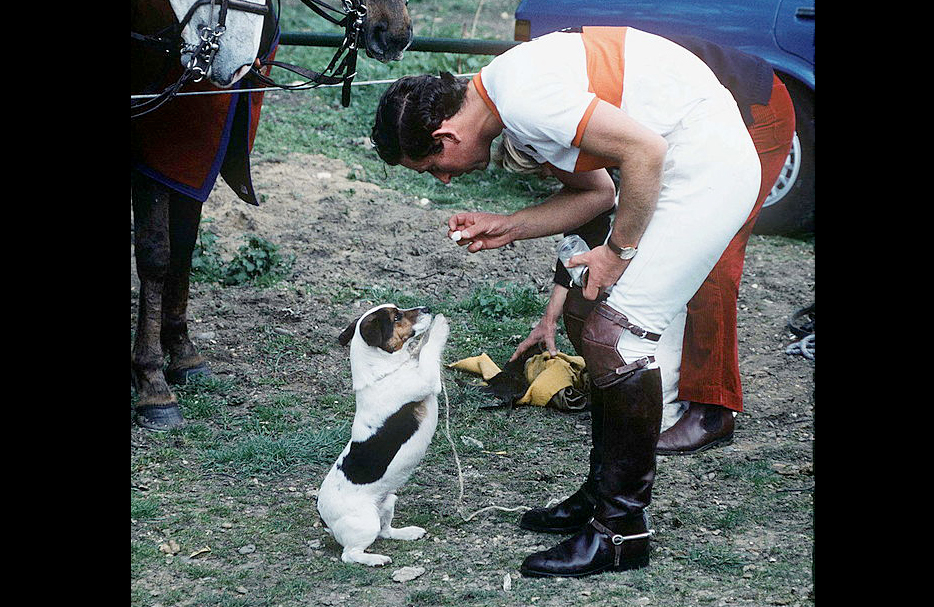 How many Jack Russell terriers has King Charles owned over the years?