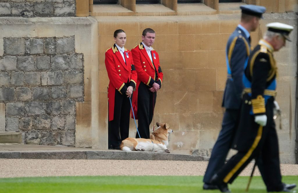 Will the dogs have the run of Buckingham Palace?