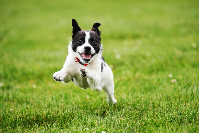 Why the spinning circles and chasing tails?