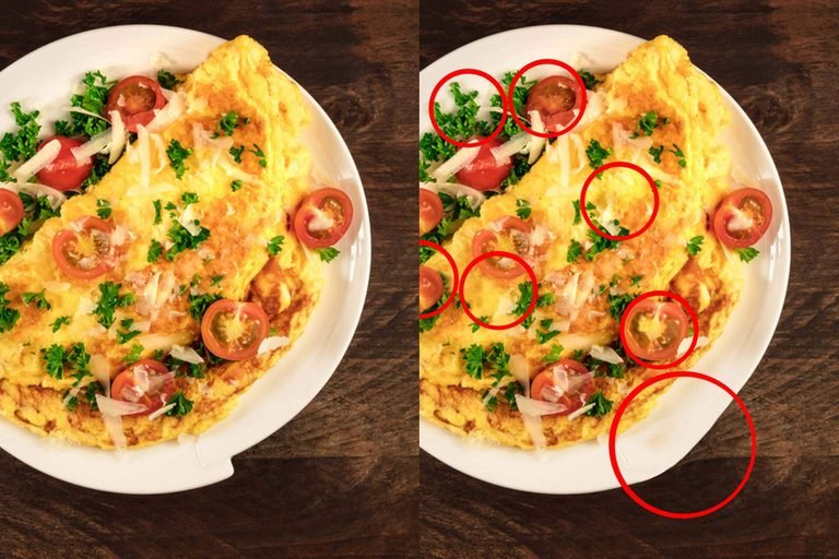 Omelette Observer Answer Key
