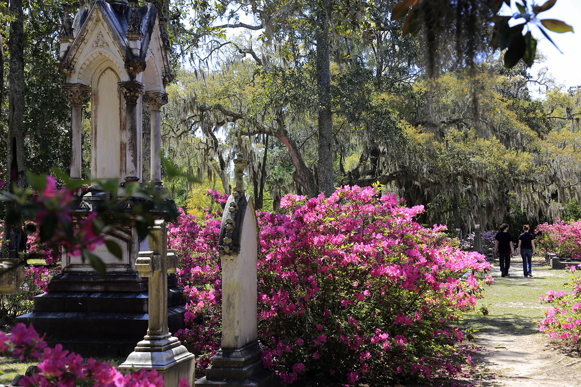 Bonaventure Cemetery, Savannah, Georgia, USA