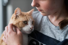 Pet Refuge