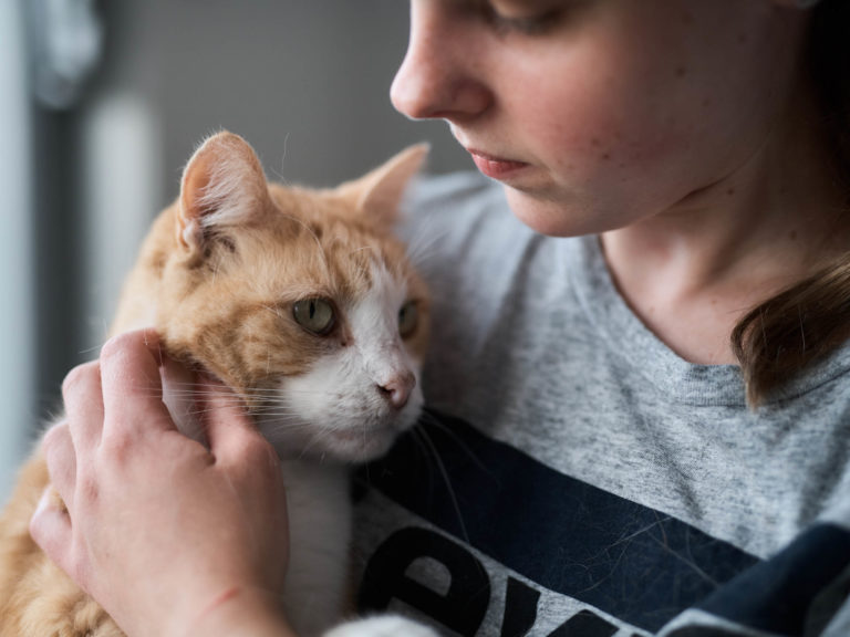 Pet Refuge