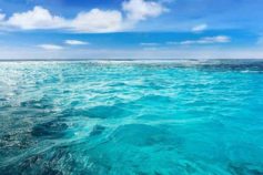 blue ocean