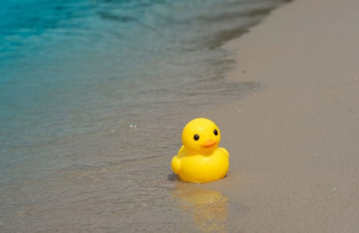 A rubber duck accident helped researchers understand ocean currents