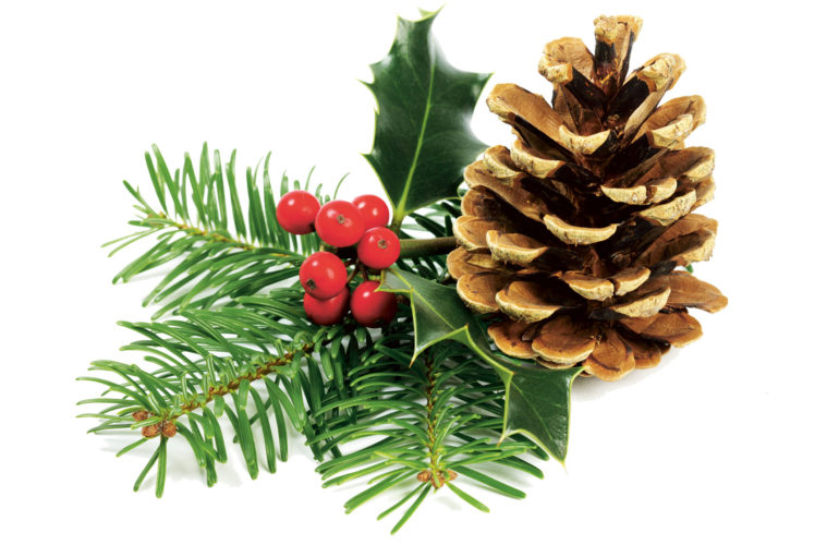 The Christmas that changed me