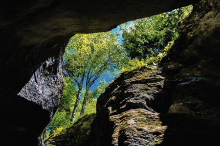 Crushed in a crevice
