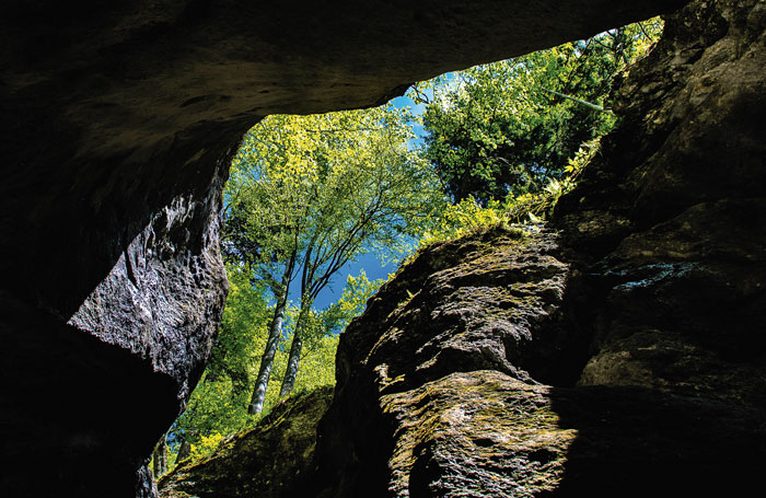 Crushed in a crevice