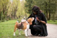 Why do dogs like to be petted?
