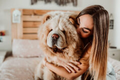 15 dumbest dog breeds that are lovably dopey