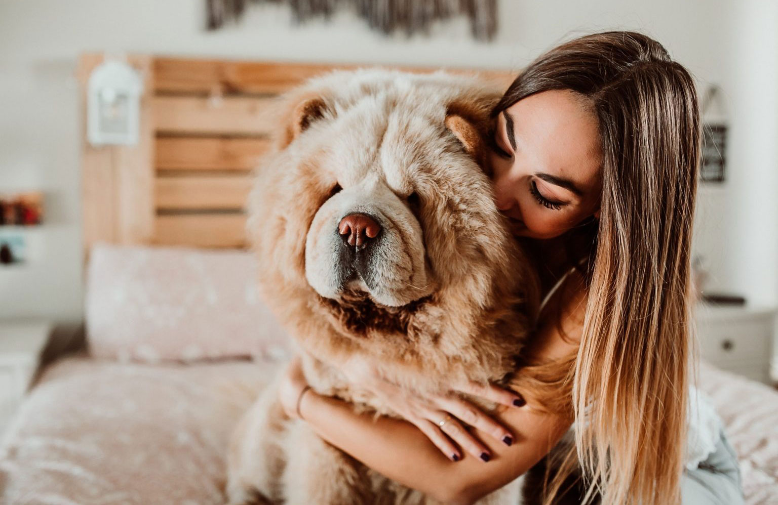 Dumb dog breeds we love