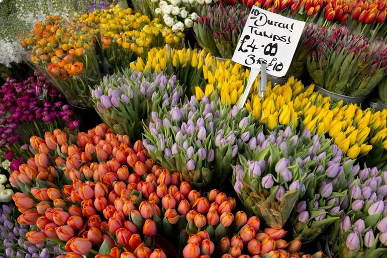 Columbia Road Market