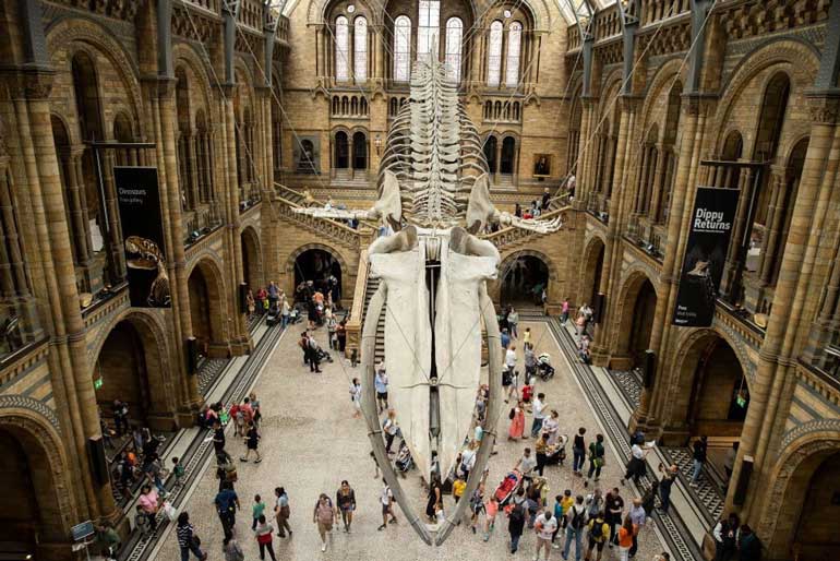 Natural History Museum
