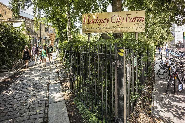 Hackney City Farm