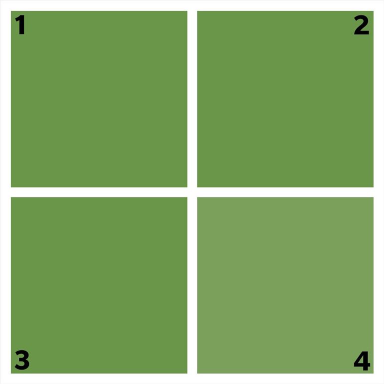 Which shade of green is different?