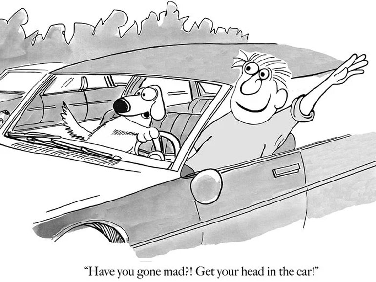Rover, take the wheel!