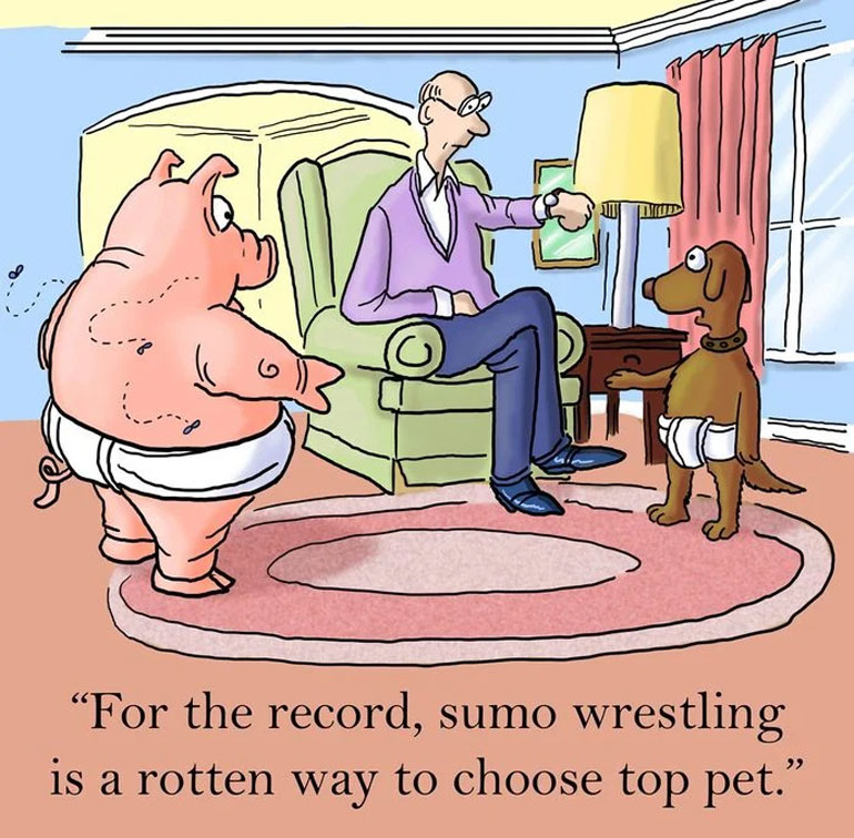 Top pet
