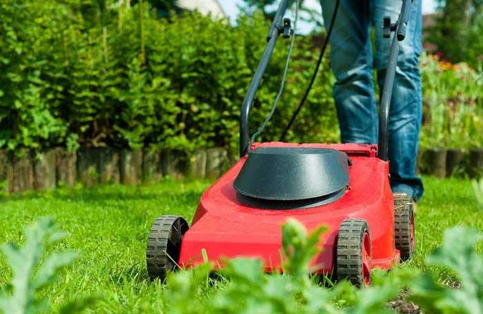 Mow the lawn