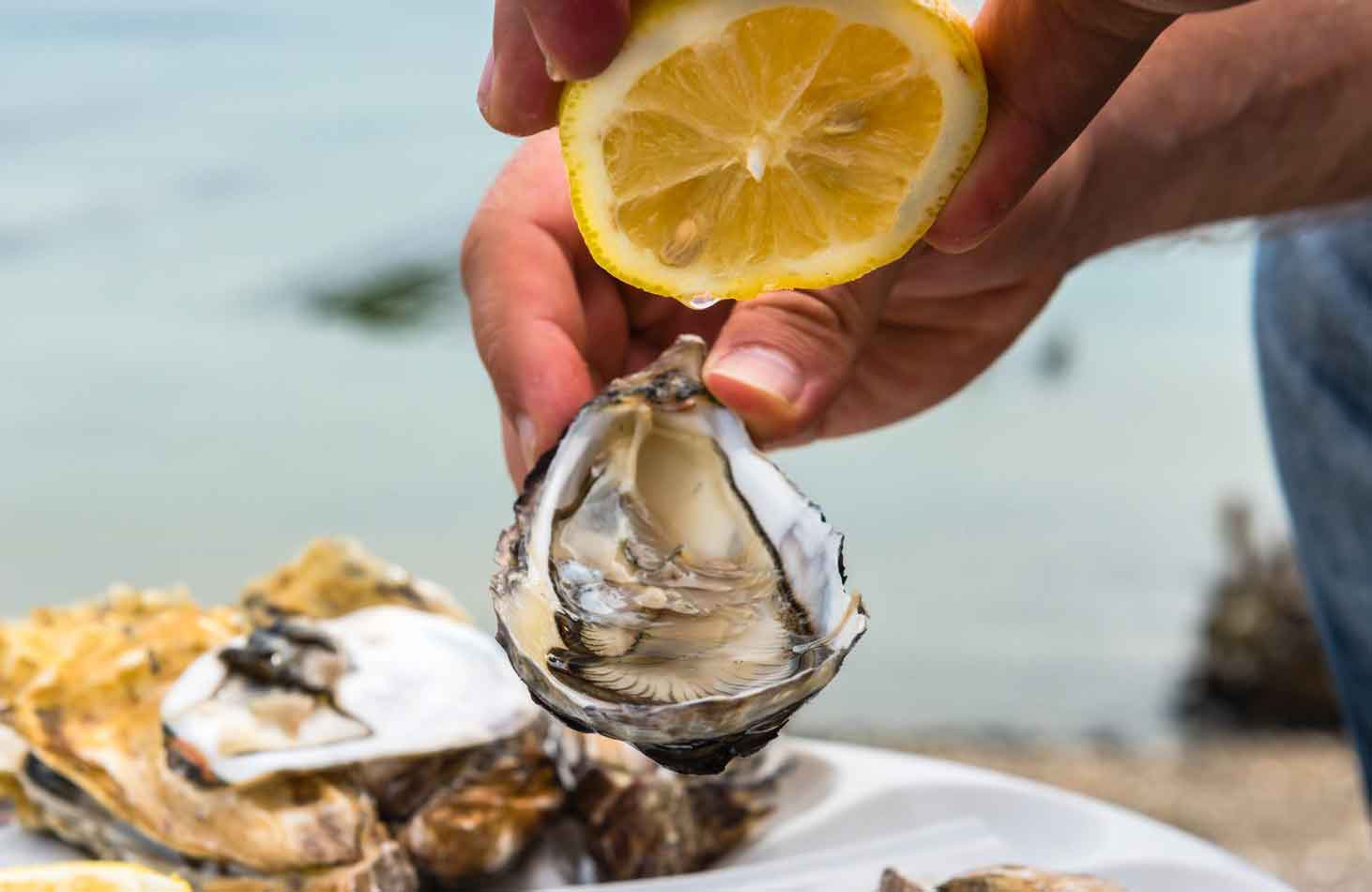 Dress your oysters (optional)