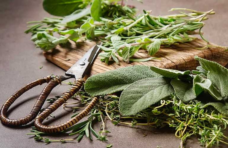 Strip herbs