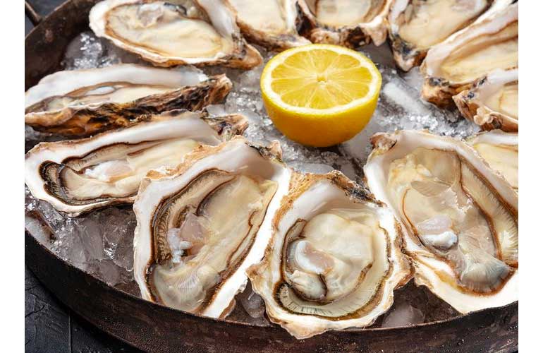 Oysters