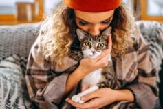 Cats can go from aloof to lovey-dovey in the blink of an eye. So how can we be sure cats like being kissed? Here's what to know before you pucker up.