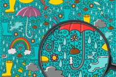 Find the hidden objects in these pictures