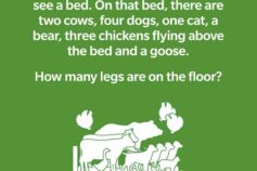 The “Legs on the Floor” riddle: can you solve it?
