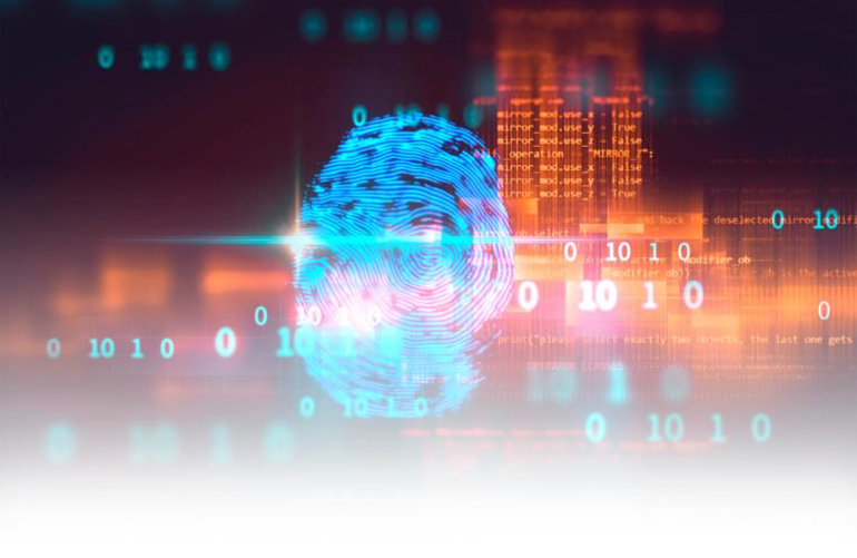 Fingerprints follow the Turing pattern