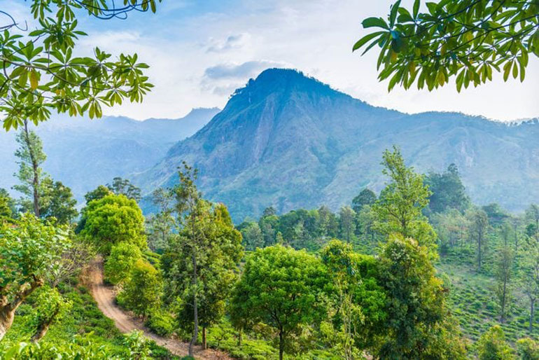 The Pekoe Trail, Sri Lanka