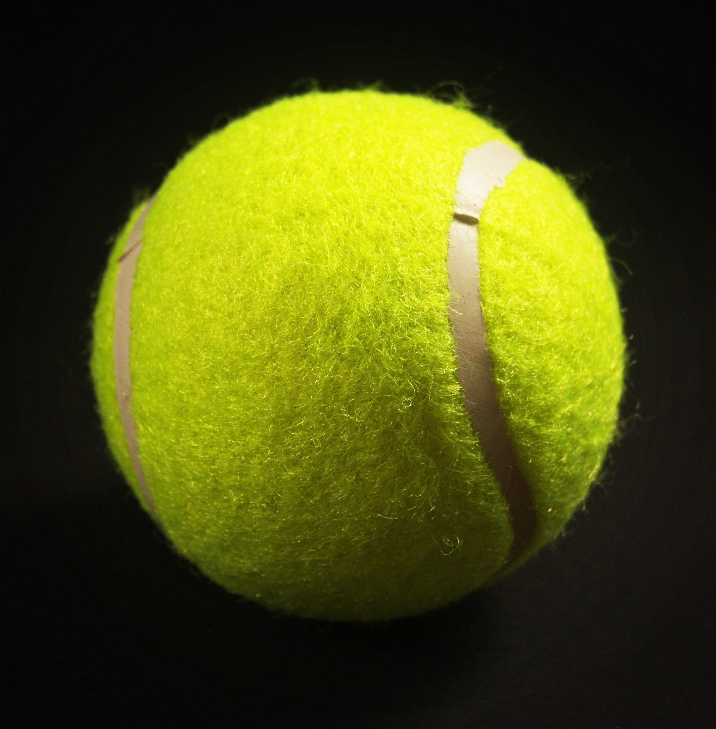 Myth 7: Tennis balls in the dryer speed things up