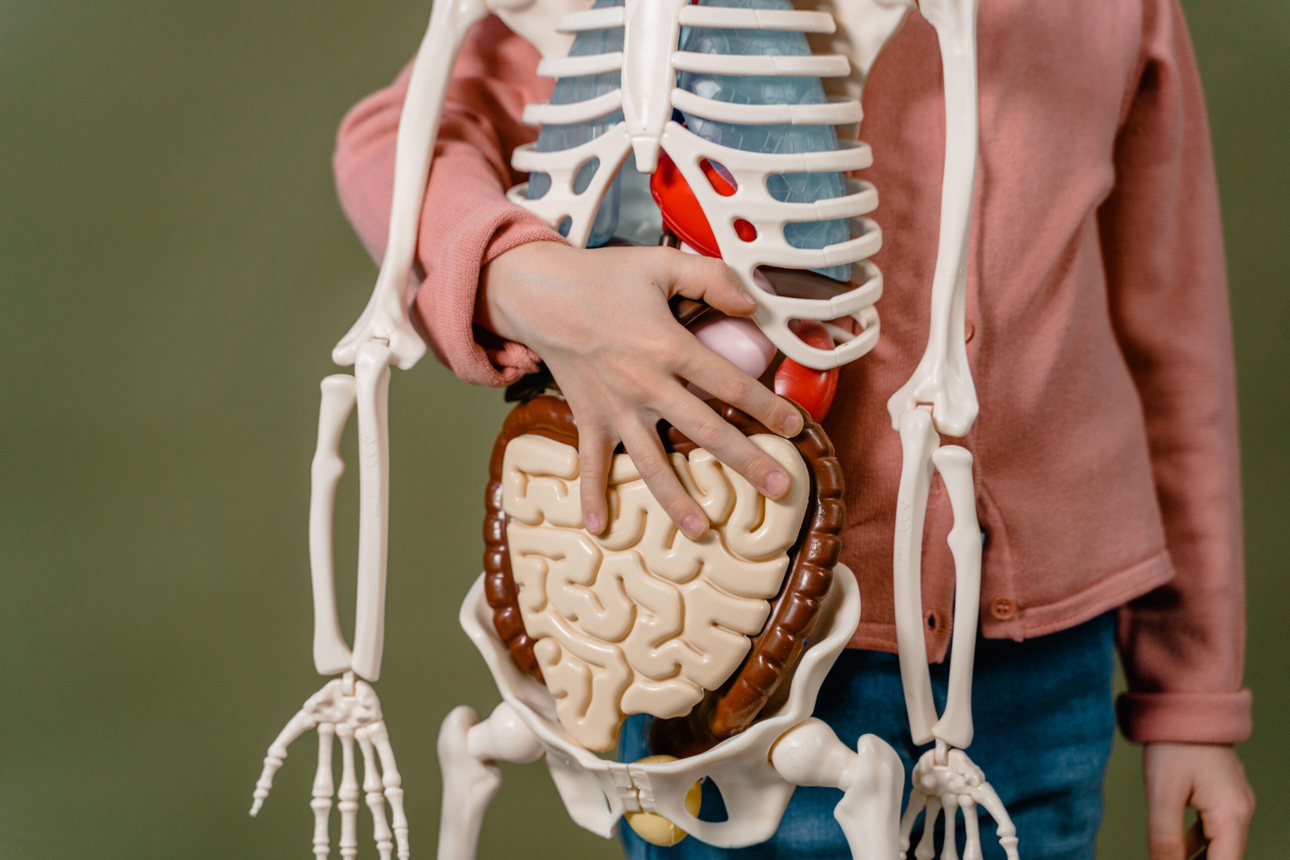 10. Nurture your gut